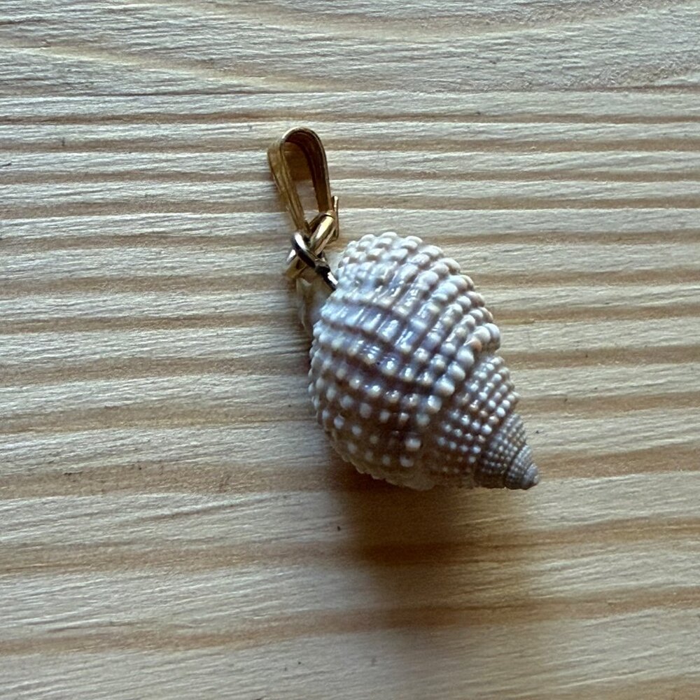 Seashell Pendant Charm With Gold-Tone Clip